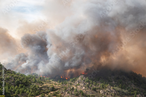 Devastação voraz: Labaredas engolem o monte, envolvendo o céu em uma espessa nuvem de fumaça