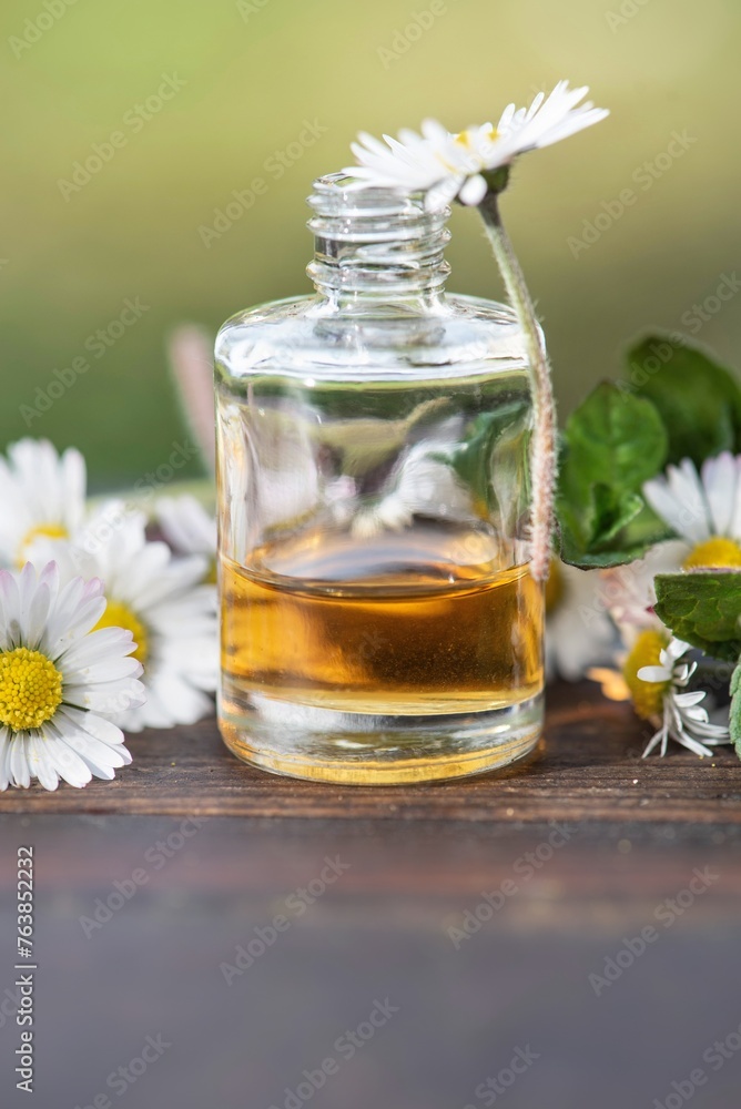 arrangement of a bottle of essential oil and daisies with fresh mint leaf on a wooden table arrangement of a bottle of essential oil and daisies with fresh mint leaf on a wooden table