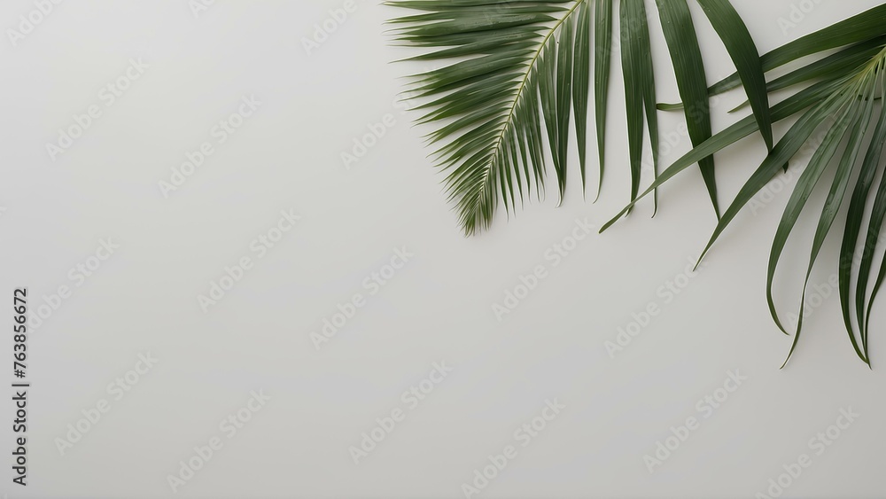 Fototapeta premium Top of white table with palm leaves
