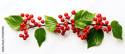 Close-up of branch with vibrant red berries