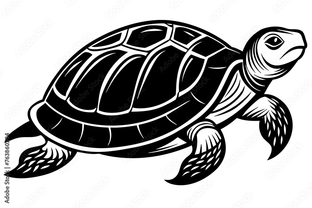the turtle silhouette vector and illustration the turtle silhouette vector and illustration