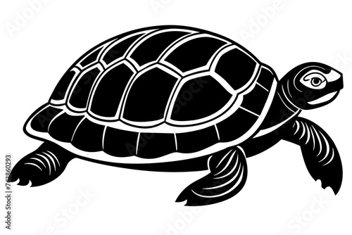 the turtle silhouette vector and illustration