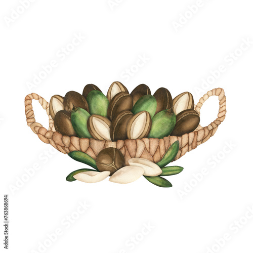 A wicker basket with ripe argan tree nuts. A watercolor-drawn illustration, a clipart on a white background. Argan oil, body and hair care, cosmetology, food, vitamins. Template for labels, postcards