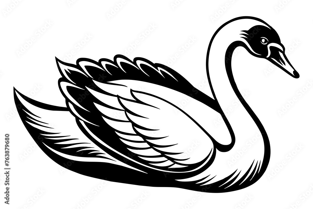 Fototapeta premium swan silhouette vector and illustration