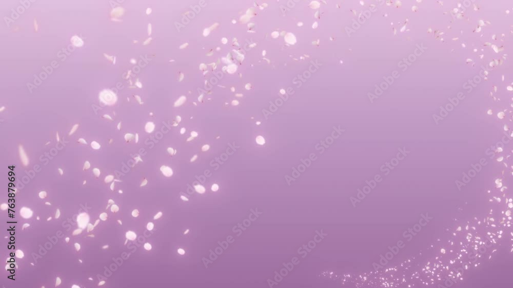 Cherry Blossom Flow Trail Curve On Background. Cherry blossom along flow curve on pastels background. Cherry Blossom Flow Trail Curve On Background. Cherry blossom along flow curve on pastels background.