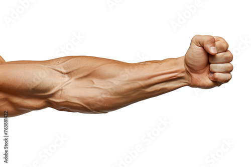 a man's arm with biceps