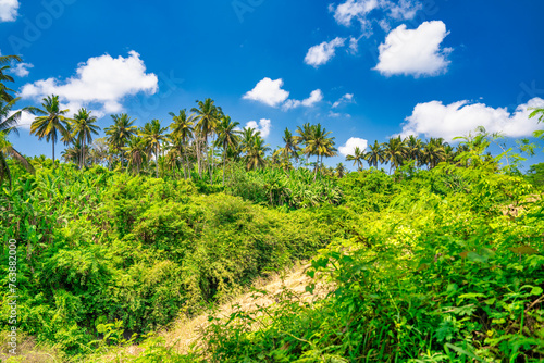 A beautiful countryside in Bali, Indonesia