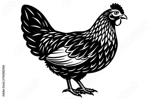  chicken  silhouette  vector and illustration