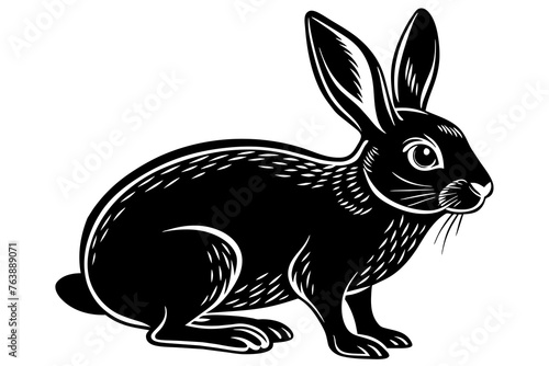 Rabbit silhouette vector and illustration