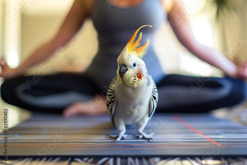 fitness enthusiast doing yoga with a cockatiel on their mat photo