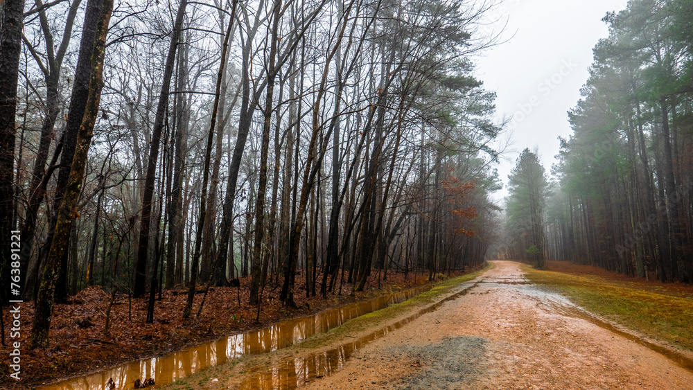 Wet Season Wet Season