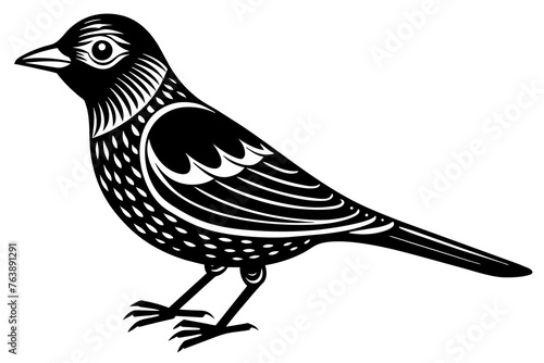  bird  silhouette  vector and illustration