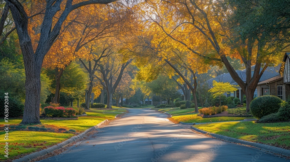 Shadows of Trees Stretch Across Neighborhood Streets Shadows of Trees Stretch Across Neighborhood Streets