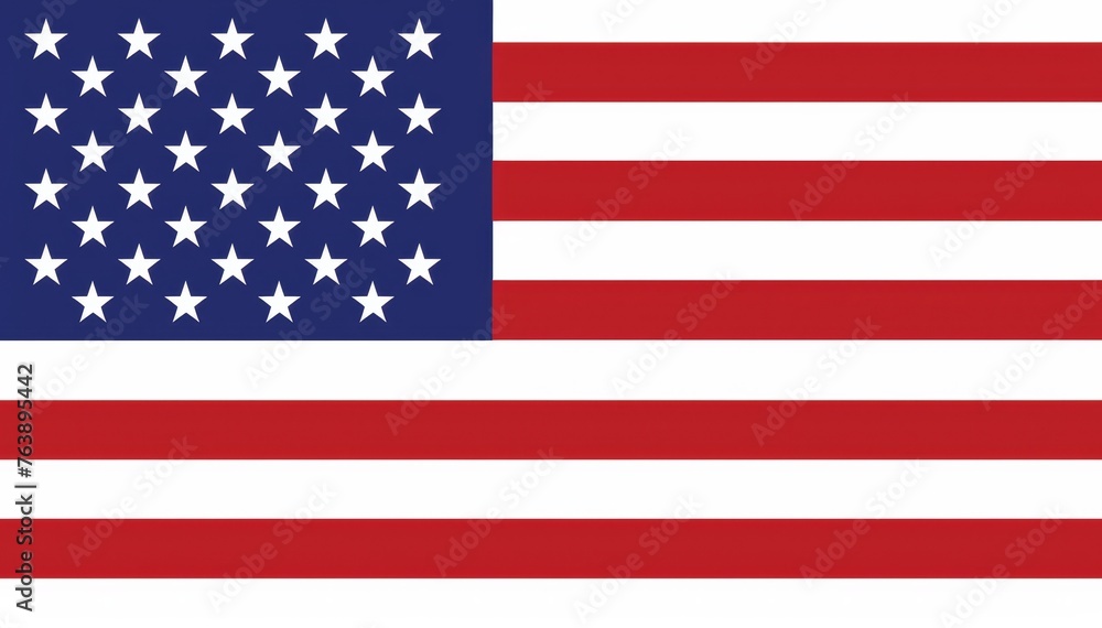 Naklejka premium US presidential election. USA flag