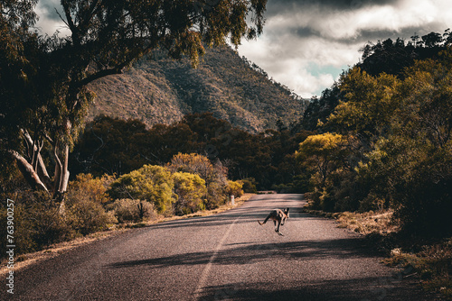 Rustic Road Roaming