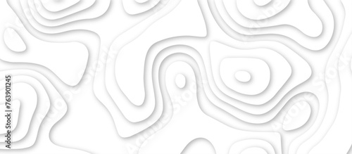 Abstract geometric layered curve line white background. 3d render, paper cut vector art background banner texture. multi layer cutout geometric patterns with smooth wavy layer. white background.