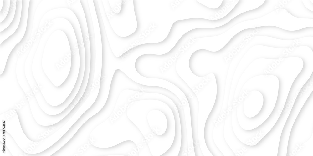 Abstract paper carve template. abstract white 3d papercut topography relief vector background illustration. topographic canyon geometric map relief texture with curved layers and shadow. Abstract paper carve template. abstract white 3d papercut topography relief vector background illustration. topographic canyon geometric map relief texture with curved layers and shadow.