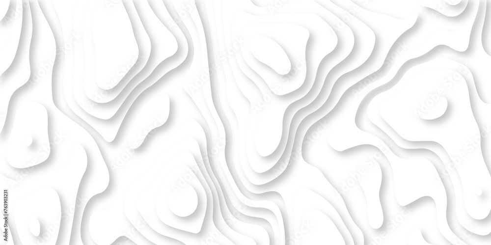 Vector topographic Gray and white wave Seamless abstract white papercut background 3d realistic design use for ads banner and advertising print design 3d topography relief. Vector topographic Gray and white wave Seamless abstract white papercut background 3d realistic design use for ads banner and advertising print design 3d topography relief.