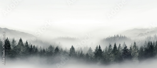 Capturing the serene beauty of fog-covered trees in a mountainous landscape against a clear sky backdrop