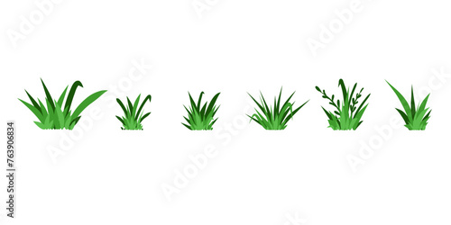 Green grass. Field isolated elements. Spring summer hand drawn herb, park lawn meadow sketch style, cartoon flat isolated botanical elements for decor, ecological symbol, vector doodle illustration