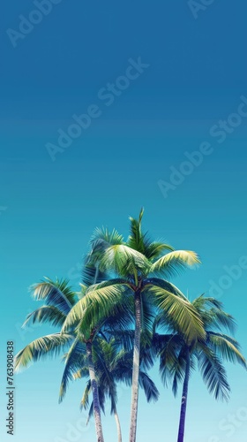 palm background