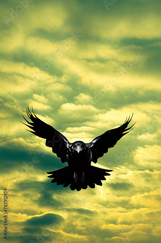 crow or raven flying toward us with acloudy sky behind photo