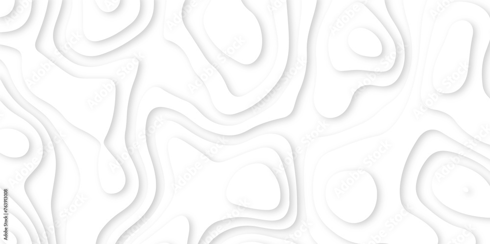 Abstract paper carve template. abstract white 3d papercut topography relief vector background illustration. topographic canyon geometric map relief texture with curved layers and shadow.