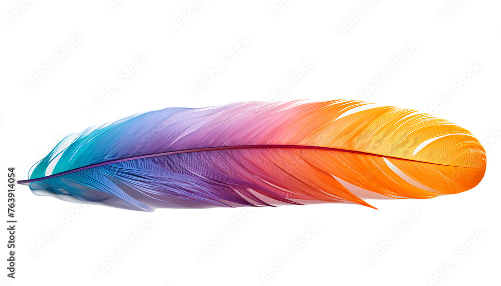 Feathers adorn a fashionable isolated on transparent background Feathers adorn a fashionable isolated on transparent background