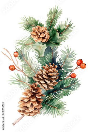 Natural Christmas/Winter Decoration, watercolor, isolated on white background 
