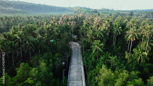 Stone bridge over the canal on the island and coconut groves photo