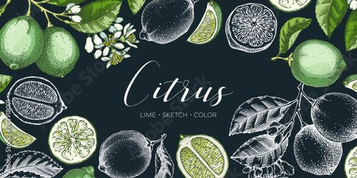 Lime fruit banner. Exotic plants design template. Citrus fruit sketch, watercolor, chalkboard style. Mixed media summer background. Hand drawn vector illustration. NOT AI generated