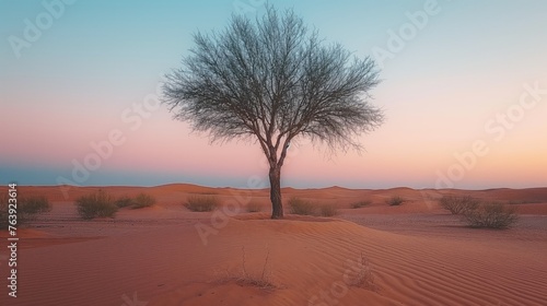 Tree on sand dune at sunset . AI