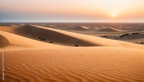 beautiful shot desert sand with bushes clear sky