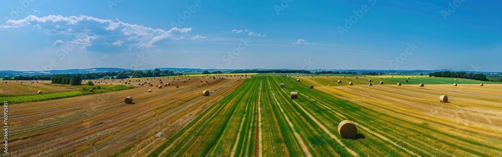 aerial view of a corn field with rolling wheels on green and brown grass sand during sunshine in the morning with bright light coming from the clear blue sky with small mountains in the background