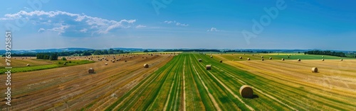 aerial view of a corn field with rolling wheels on green and brown grass sand during sunshine in the morning with bright light coming from the clear blue sky with small mountains in the background