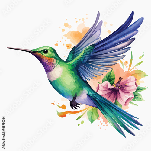 Hummingbird Clipart 