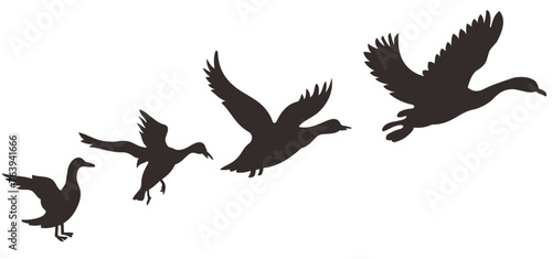 Set of black isolated silhouettes with flying bird