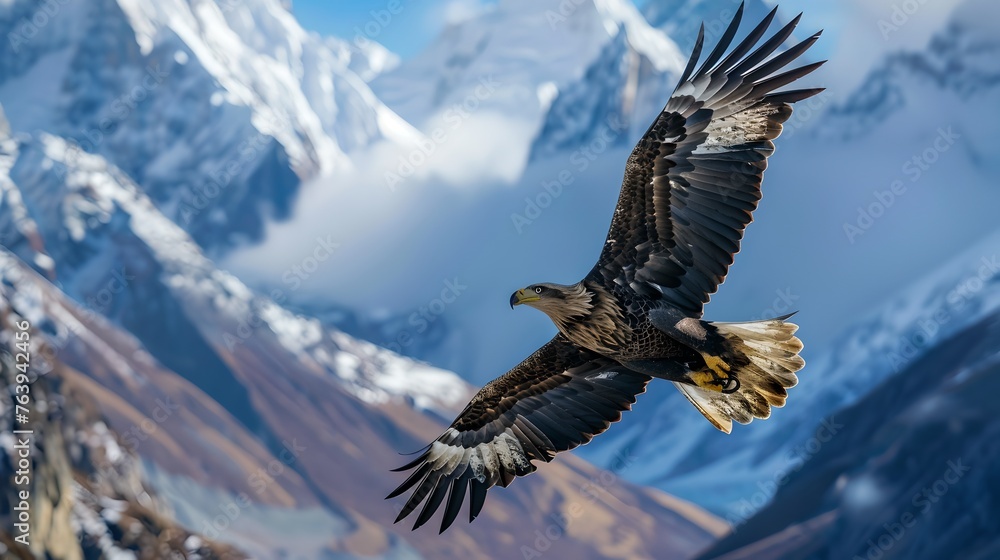 Obraz premium Majestic Eagle Soaring High Against a Backdrop of Snow-Capped Mountains and Clouds