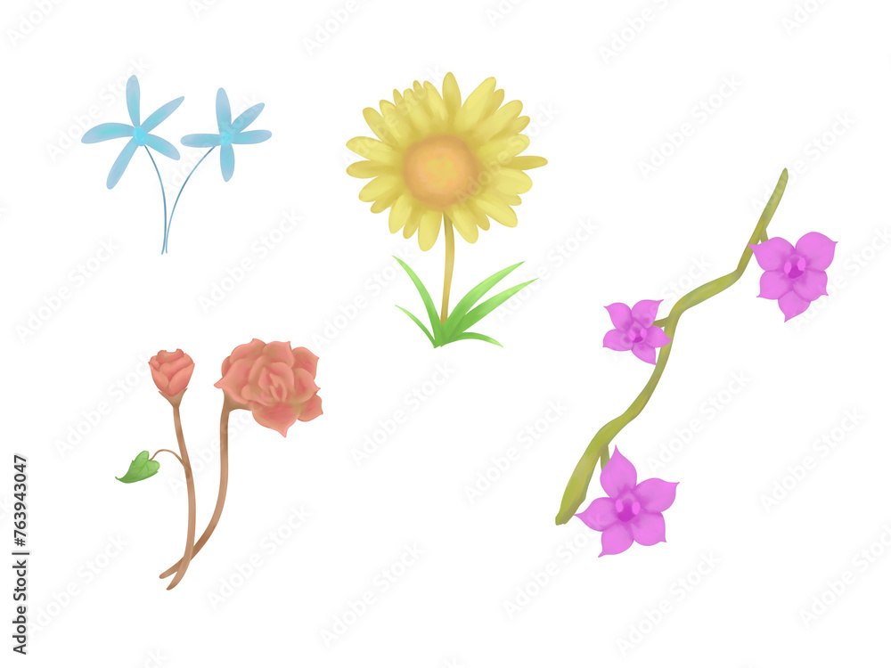 Obraz premium Flower set ilustration