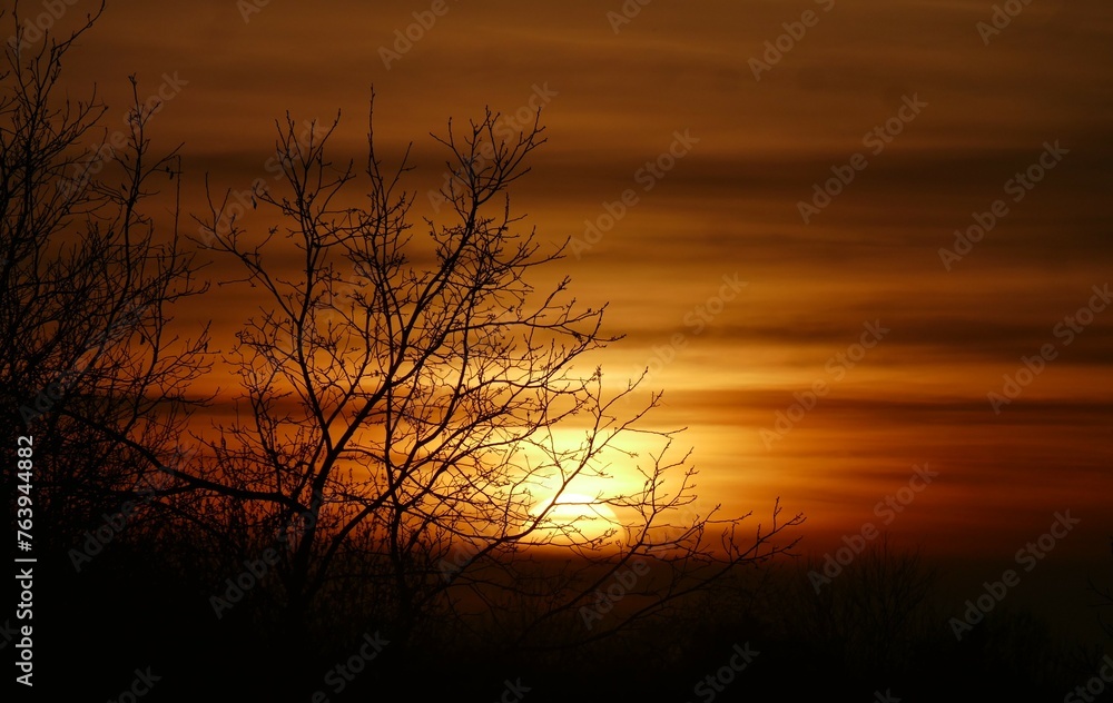 Dramatic sky in sunset with trees nature background Dramatic sky in sunset with trees nature background