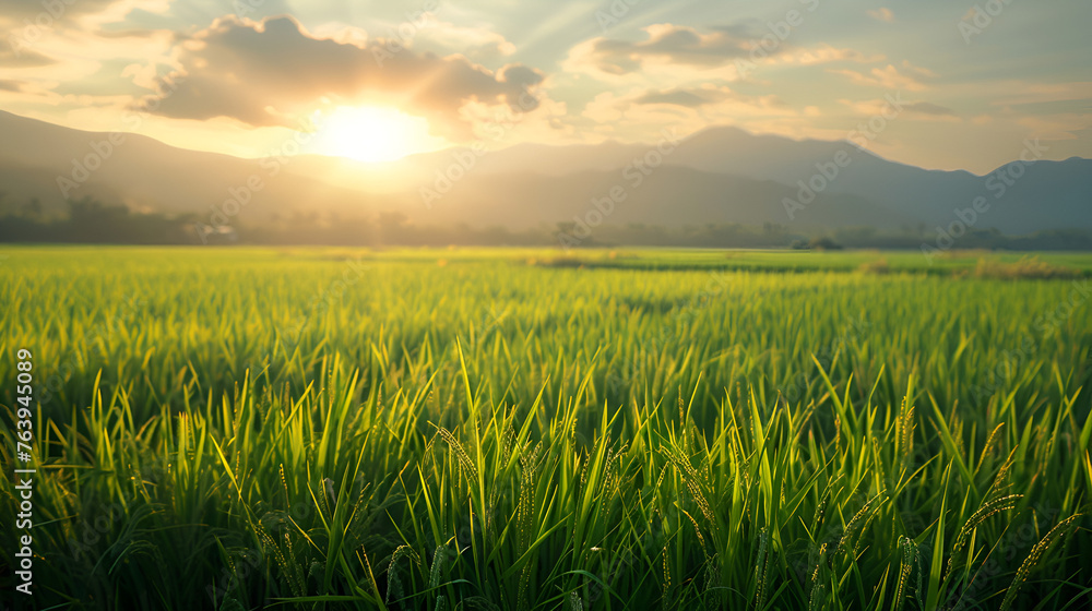 Rice field landscape background, Green Rice fields on terraced in Mu clang chai, Vietnam Rice field, Beautiful rice field view animation landscape background. Generative Ai 