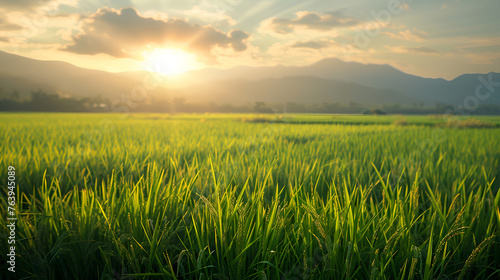 Rice field landscape background, Green Rice fields on terraced in Mu clang chai, Vietnam Rice field, Beautiful rice field view animation landscape background. Generative Ai  © Jaunali