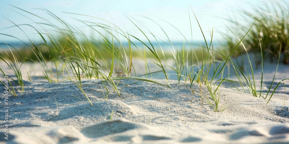 Green grass sprouting from sandy ground. Earth Day Green grass sprouting from sandy ground. Earth Day