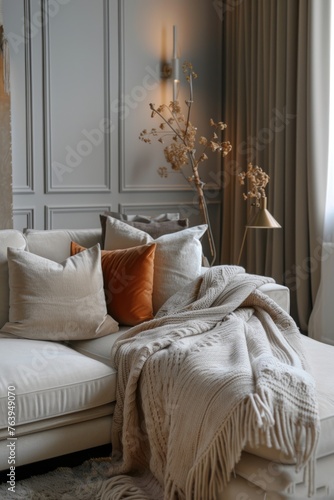 Elegant living room corner with comfortable sofa, decorative pillows, knit blanket