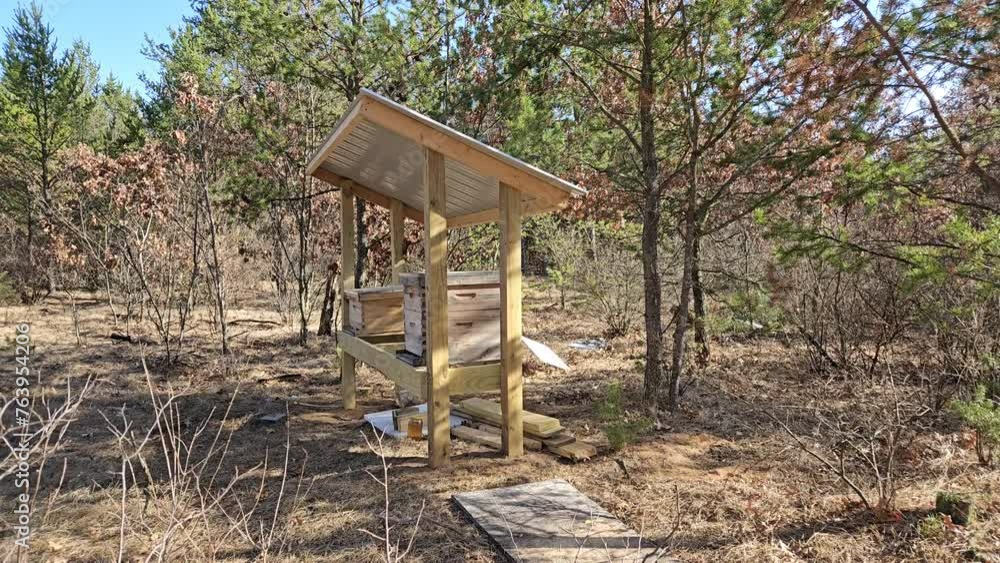 Empty beehives in sunny windy day build in wooded backyard surrounded with pine and oak trees with blue sky background. Empty beehives in sunny windy day build in wooded backyard surrounded with pine and oak trees with blue sky background.
