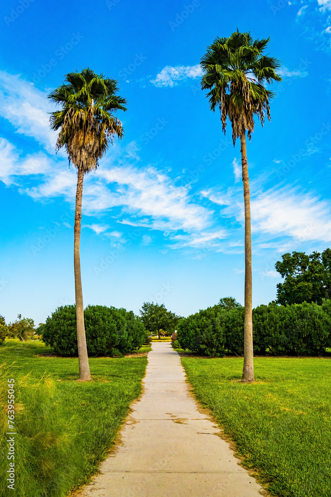 Fototapeta premium The park alleys