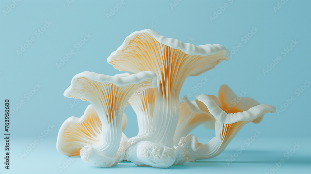 Obraz premium Close up of a group of mushrooms on a table
