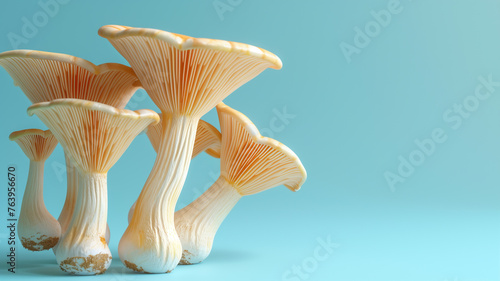 Group of mushrooms on blue background