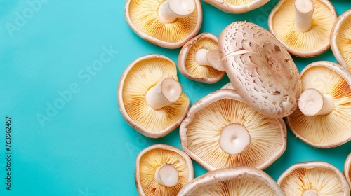 Oyster mushroom pleurotus ostreatus on a serene and tranquil pastel colored background