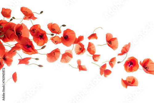 Red poppy petals flew isolated PNG